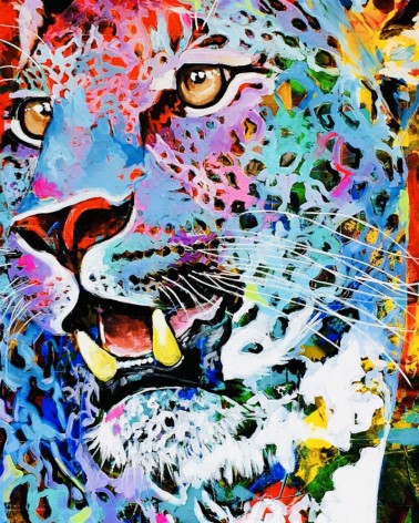 Jaguar Multicolore